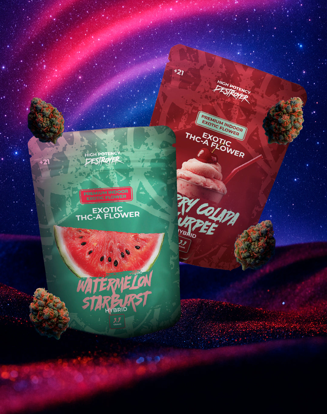 Premium Indoor Exotic Flowers - Pouch